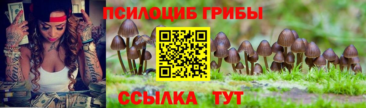 Киров  Псилоцибиновые грибы Psilocybine cubensis  Вход с VPN 